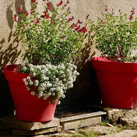 Tatil Evi Lepicerie De Madeleine Saint-Marc-la-Lande