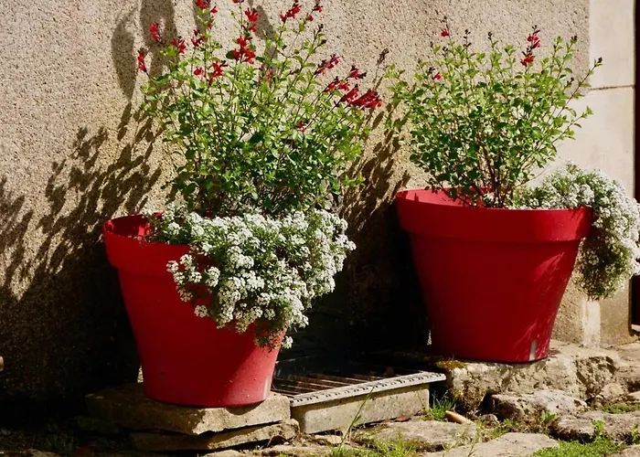 Casa vacanze Lépicerie De Madeleine Saint-Marc-la-Lande